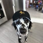 Hunter's Hat